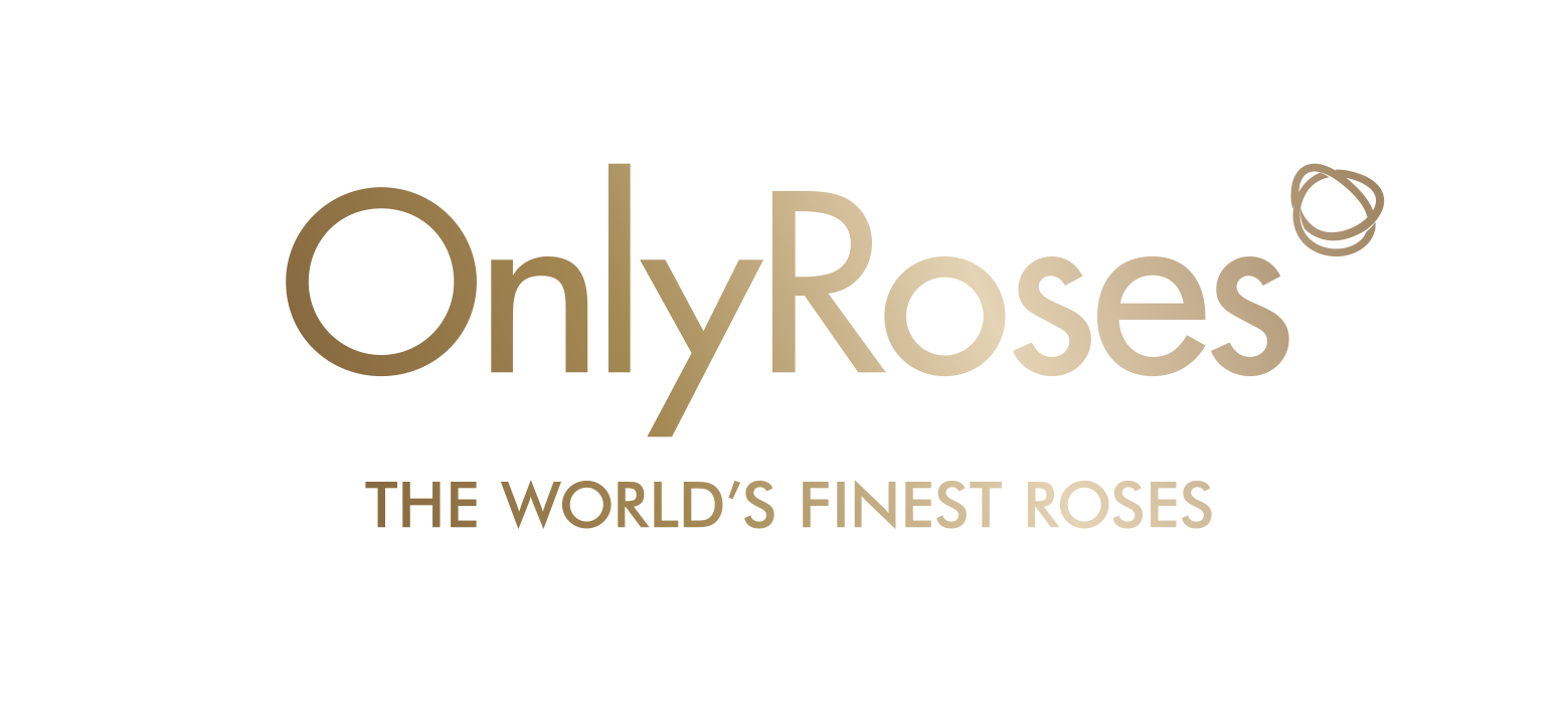 Only Roses