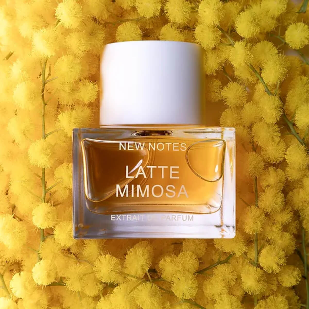 NN LATTE DI MIMOSA Eau De Parfum 50ML