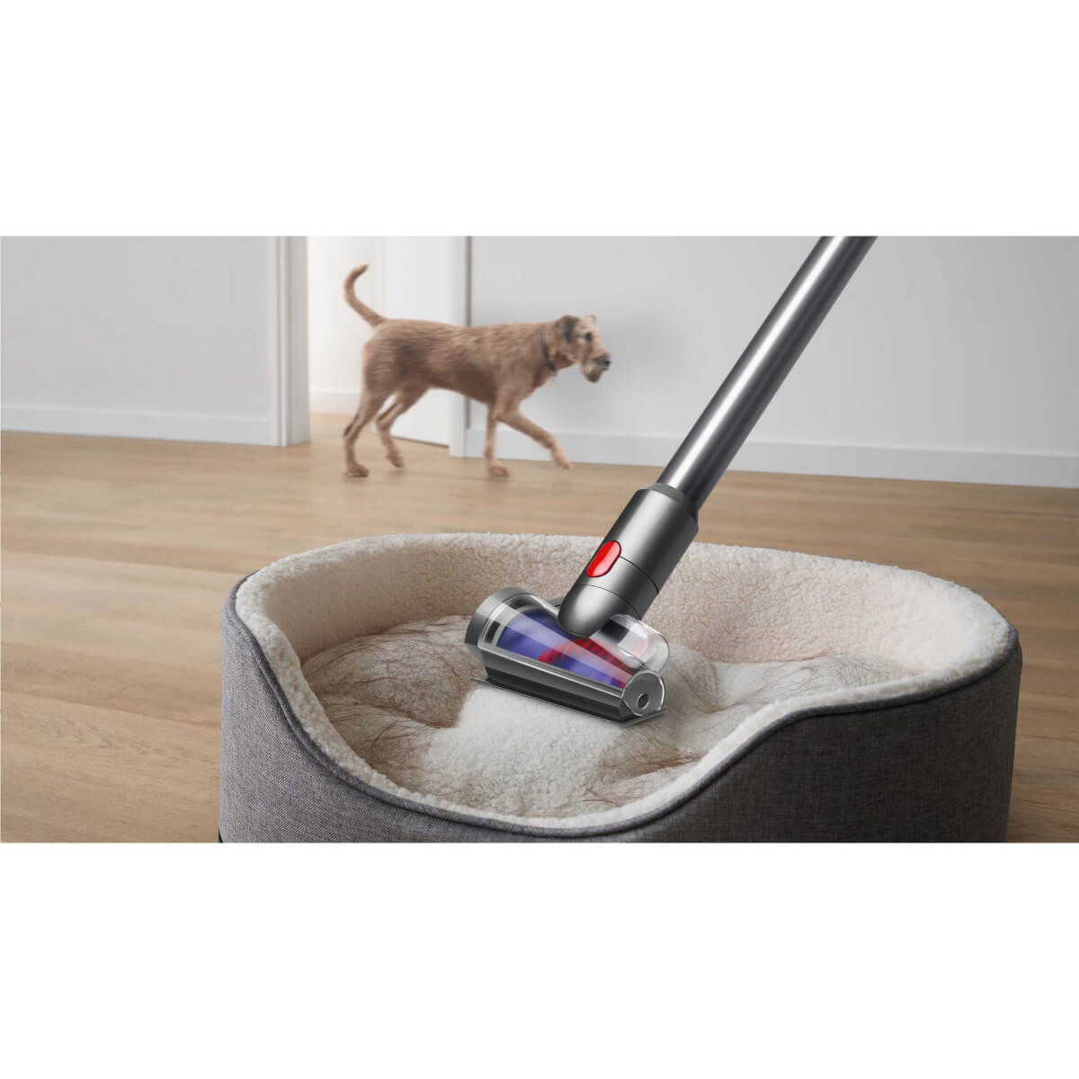 V8 Absolute New Cordless Vacuum Cleaner
