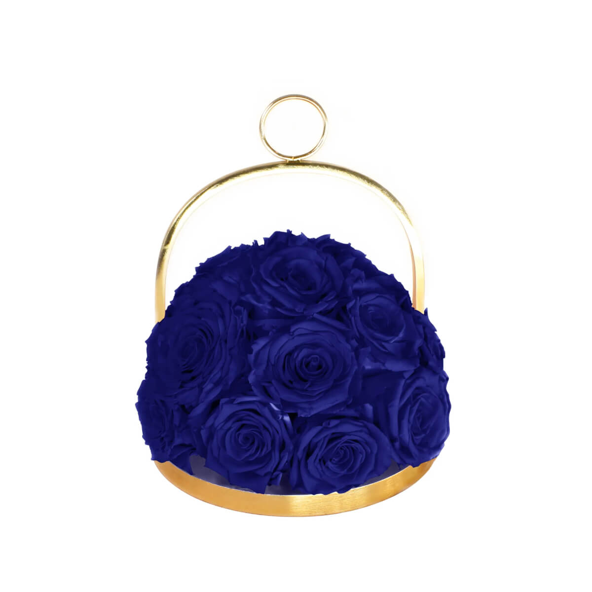 Infinite Rose Lantern Dome (Medium) Royal Blue