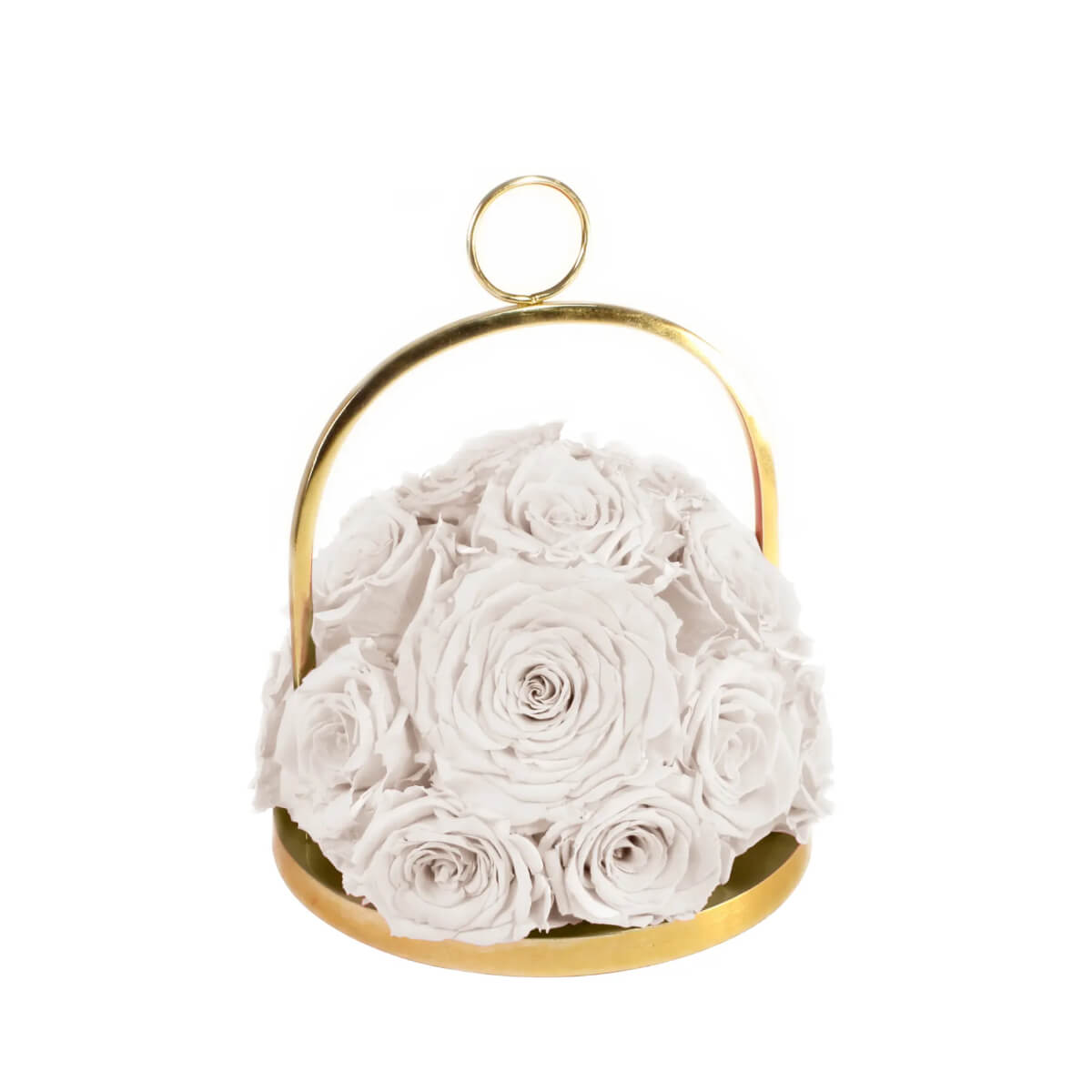 Infinite Rose Lantern Dome (Medium) White